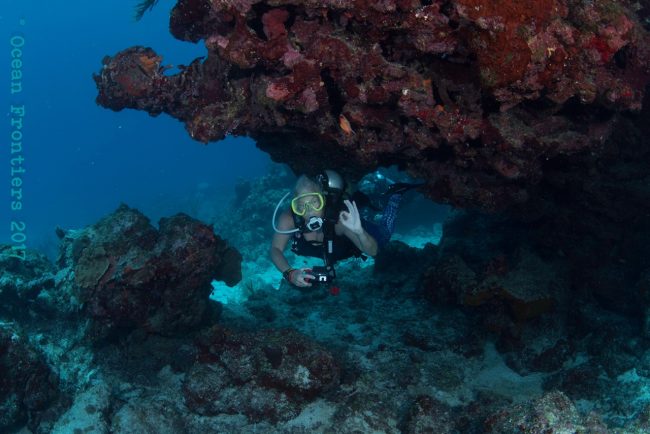 Resident Scuba Diver Hopes To Be The Oldest Woman Diver