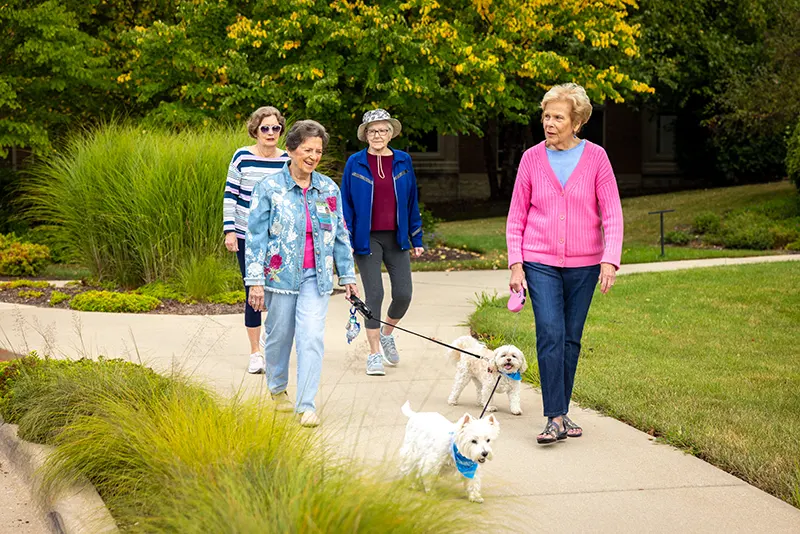 Senior women walking dogs in the park